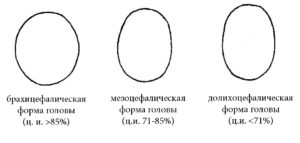 Цефалический индекс